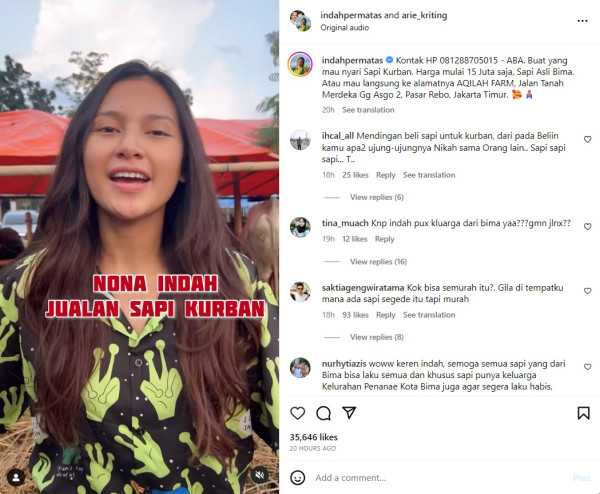 Indah Permatasari Jualan Hewan Kurban Jelang Idul Adha, Beri Diskon Rp1 Juta