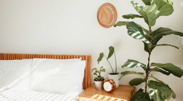 7 Tips Dekorasi Kamar Kekinian, Murah Tanpa Biaya Ekstra