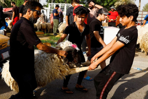 10 Tradisi Perayaan Iduladha di Berbagai Negara, Nomor 2 dan 5 Menghias Tanduk Hewan Kurban