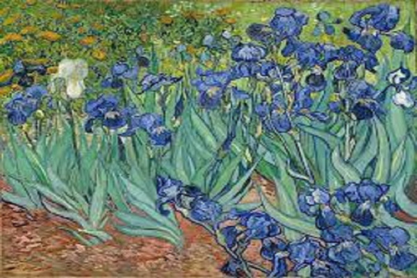 7 Lukisan Vincent Van Gogh Paling Terkenal, Nomor 5 Simbol Putus Asa Pemicu Bunuh Diri