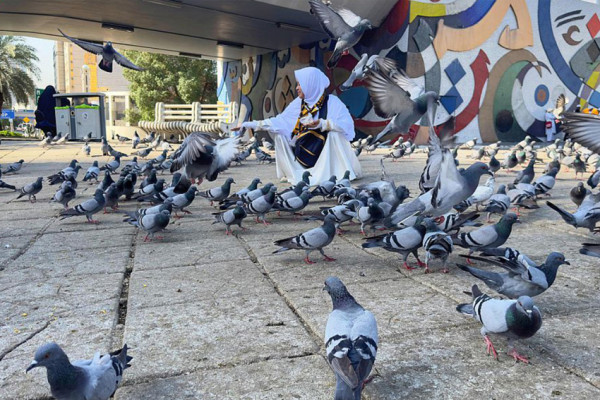 Burung di Masjidilharam, Sejarawan Bilang Keturunan Merpati dari Gua Tsur