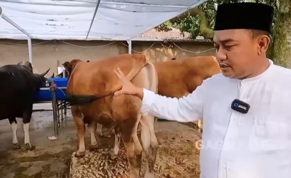4 Artis Indonesia Jual Hewan Kurban, Nomor 3 Merintis Sejak 12 Tahun Silam