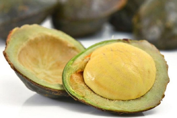 Apakah Jengkol Mengandung Kolesterol? Ini Faktanya