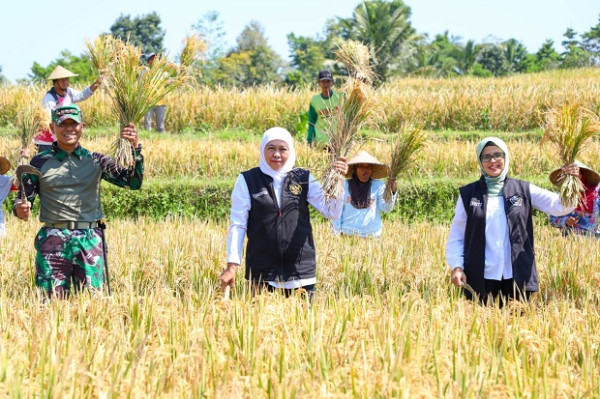 Gubernur Khofifah: Peningkatkan Produktivitas Pertanian Harus Selaras dengan Kesejahteraan Petani