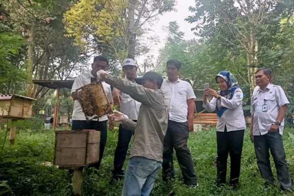 Ternak Lebah Madu HB Honey, Gerakkan Ekonomi Masyarakat Plus Lestarikan Lingkungan