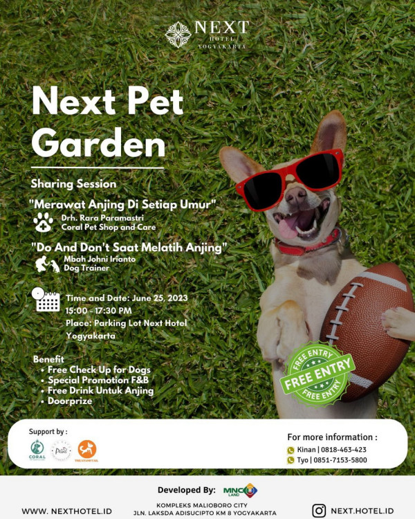 Bawa Anabul Anda ke 'Next Pet Garden' Next Hotel Yogyakarta dan Nikmati Keseruannya