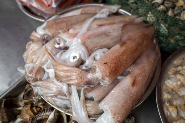 7 Ikan Mengandung Kolesterol Tinggi, Nomor 2 Picu Peradangan Tubuh