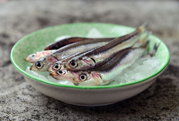 7 Ikan Mengandung Kolesterol Tinggi, Nomor 2 Picu Peradangan Tubuh