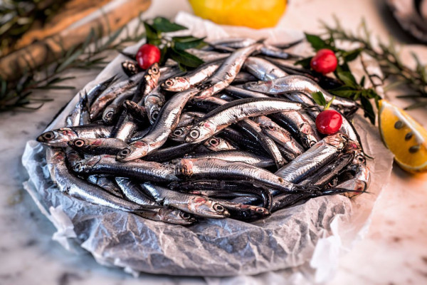 7 Ikan Laut yang Mengandung Kolesterol Tinggi, Nomor 4 Kaya Asam Lemak Omega-3