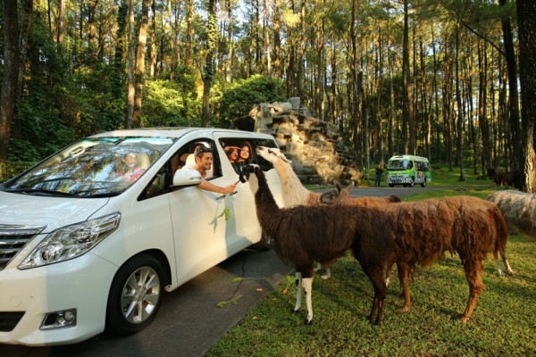 7 Rekomendasi Wisata Edukasi di Malang, Plesiran Keluarga Sambil Belajar