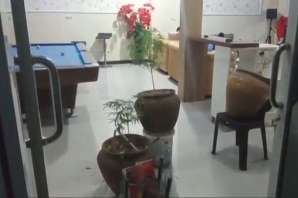Gerebek Rumah Mewah di Gowa, Tim Ditreskoba Polda Sulsel Temukan Budidaya Ganja