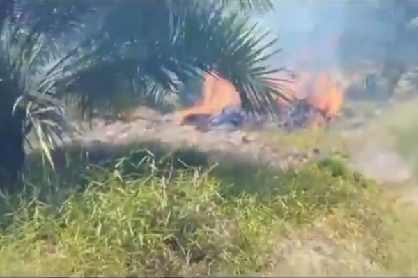Kebakaran Hutan Seluas 28 Hektare Melanda Kotawaringin Barat saat Warga Melaksanakan Salat Iduladha