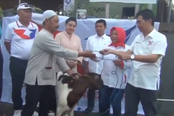 Salurkan Hewan Kurban, Perindo Bali Terus Bangun Kepedulian untuk Masyarakat