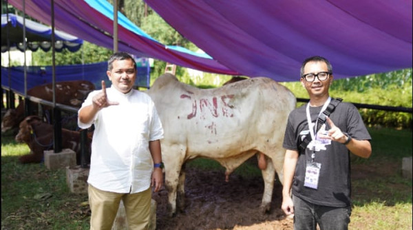 JNE Bagikan 40.000 Paket Daging Kurban dan Promo Spesial di Iduladha 1444 H