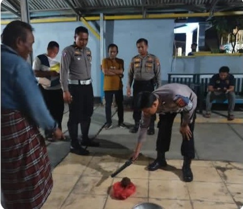 Mau Tanam Pohon Pisang, Warga Cileungsi Temukan Ranjau Darat Aktif