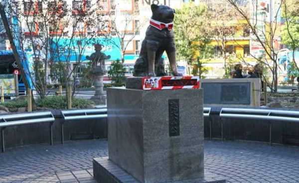10 Fakta Menarik Anjing Paling Setia di Dunia yang Tetap Dikenang dan Dipuja hingga 100 tahun