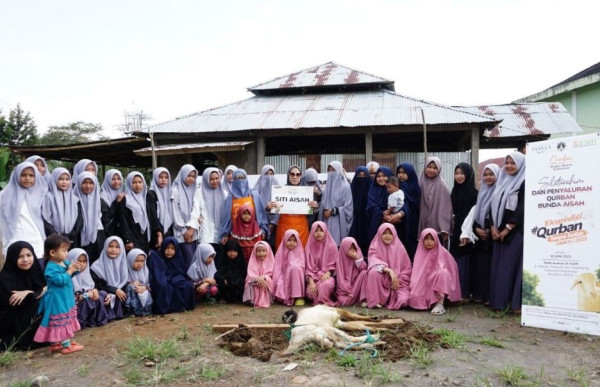 Gandeng BMH, Penasihat Vanilla Hijab Salurkan Hewan Kurban di Bengkulu