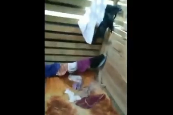Tumpukan Celana Dalam Wanita Bekas Pakai Gemparkan Warga di Asahan