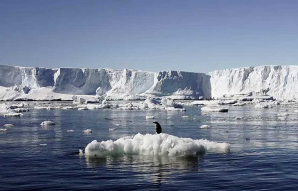 Es Laut Antartika Menyusut 2,6 Juta Km Persegi, 20 Kali Luas Pulau Jawa