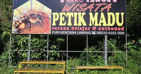 3 Destinasi Agrowisata di Malang, Nomor Terakhir Lengkap Fasilitas Rekreasinya