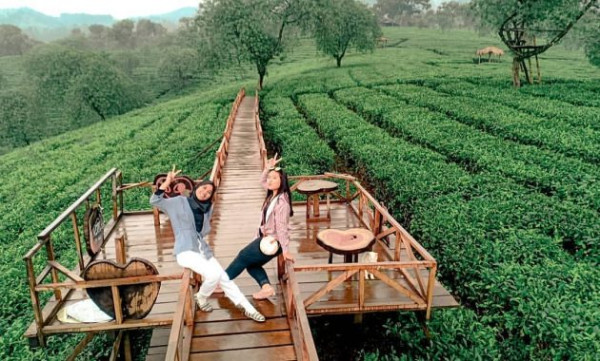 3 Destinasi Agrowisata di Malang, Nomor Terakhir Lengkap Fasilitas Rekreasinya