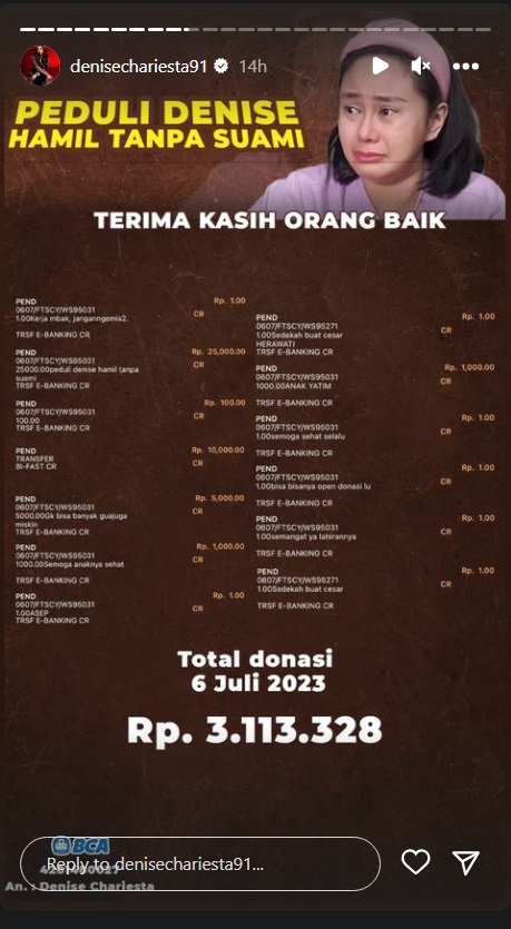 Denise Chariesta Raup Rp3,1 Juta dari Donasi Buat Lahiran, Rata-rata Transfer Rp1