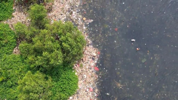 Miris! Pesisir Mangrove Muara Angke Dipenuhi Sampah Rumah Tangga