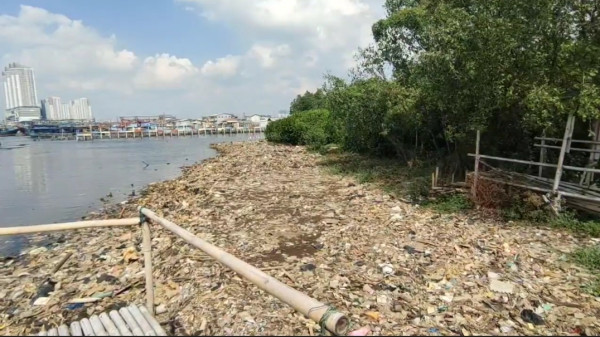 Miris! Pesisir Mangrove Muara Angke Dipenuhi Sampah Rumah Tangga