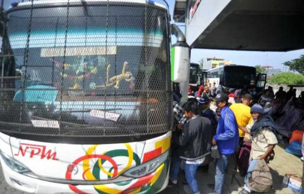 6 PO Bus dengan Fans Terbanyak di Sosial Media, Punya Ratusan Ribu Penggemar