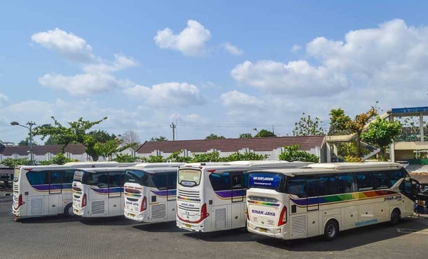 6 PO Bus dengan Fans Terbanyak di Sosial Media, Punya Ratusan Ribu Penggemar
