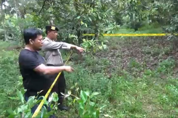 Diduga Hasil Hubungan Gelap, Bayi Laki-laki Dibuang di Semak-semak