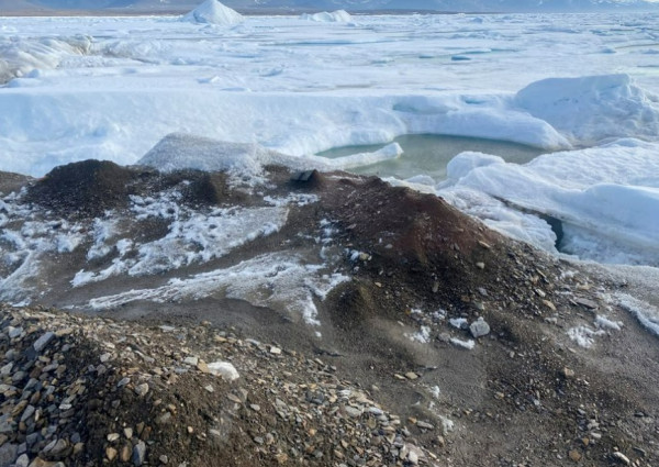 12 Fakta Unik Greenland, Salah Satunya Terdapat Hiu yang Bertahan Hidup hingga 400 Tahun