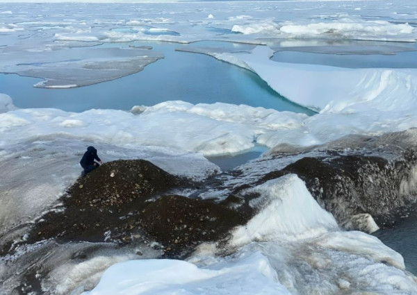 12 Fakta Unik Greenland, Salah Satunya Terdapat Hiu yang Bertahan Hidup hingga 400 Tahun