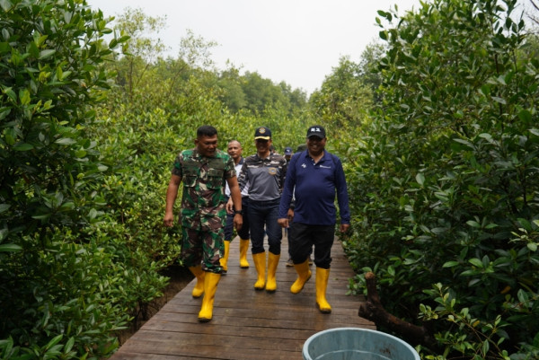 PT Bukit Asam Tanam 50.000 Bibit Mangrove di Kawasan Ekowisata Cuku Nyi Nyi