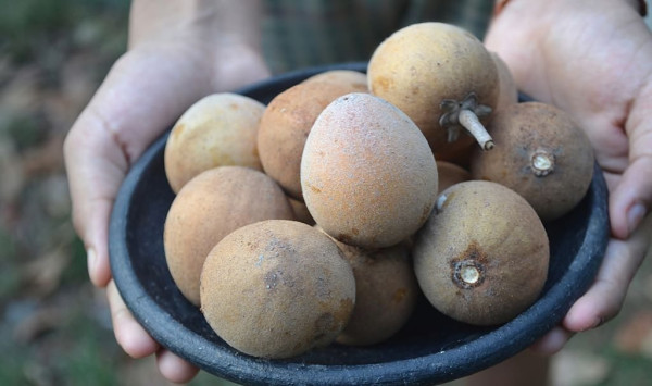 Asam Urat Tinggi, Hindari 5 Makanan Ini untuk Cegah Kerusakan Ginjal