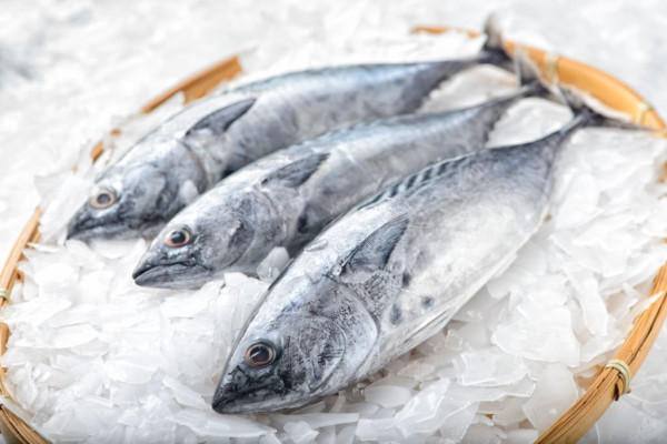4 Ikan yang Aman Dikonsumsi Penderita Gula Darah Tinggi, Cegah Peradangan