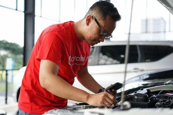 Metoda Holistik Caroline Meringankan Pengorbanan Konsumen dalam Membeli Mobil Bekas