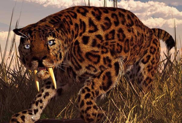 Fosil Berusia 5 Juta Tahun Ungkap 2 Spesies Baru Kucing Bertaring Belati di Afrika Selatan