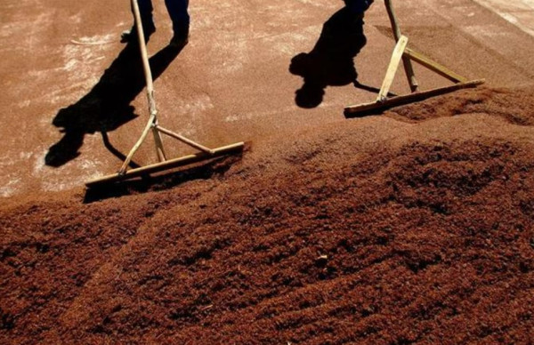 10 Negara Pecinta Seni dan Tradisi Minum Teh, Nomor 6 Paling Banyak Ditiru di Indonesia