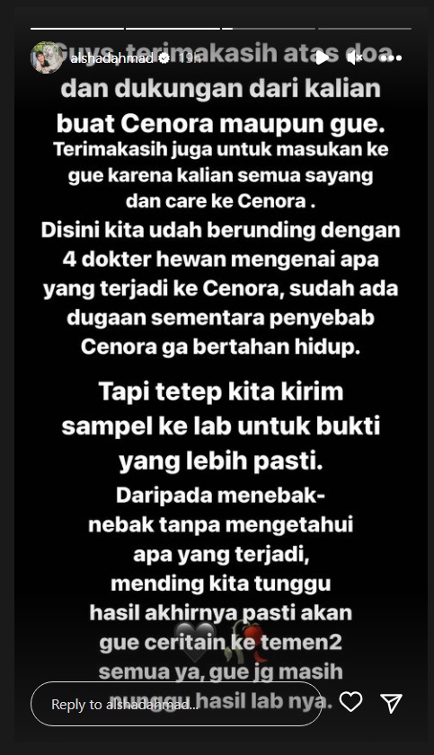 Alshad Ahmad Tegaskan Harimau Peliharaannya Bukan Mati karena Virus dan Sering Dijadikan Konten