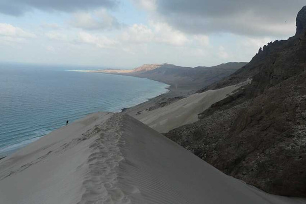 5 Fakta Unik Pulau Socotra, Daratan Terisolasi di Lepas Pantai Yaman