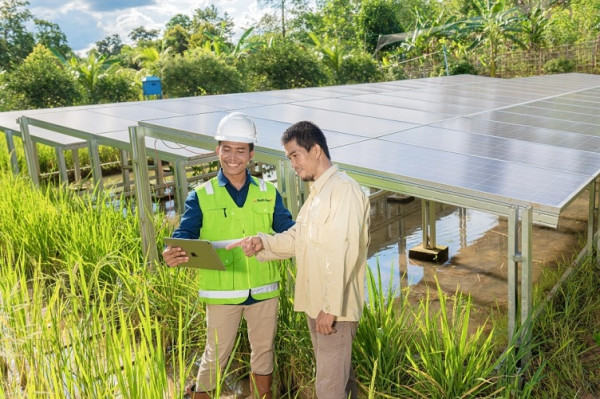PLTS Irigasi Bukit Asam (PTBA) Jadi Andalan Petani Desa Nanjungan, Lahat