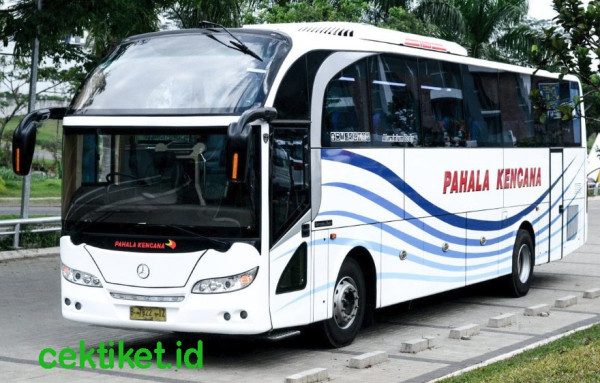 6 PO Bus Legendaris di Jalur Pantura, Dikenal Cepat dan Sudah Bertahan Puluhan Tahun