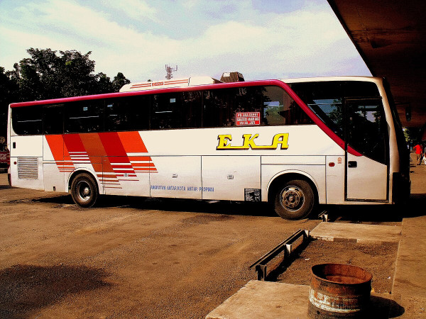 6 PO Bus Legendaris di Jalur Pantura, Dikenal Cepat dan Sudah Bertahan Puluhan Tahun
