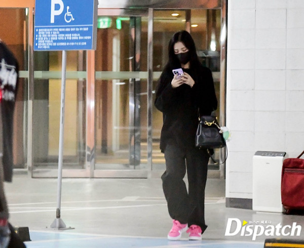 3 Potret Jisoo BLACKPINK dan Ahn Bo Hyun Kencan di Rumah
