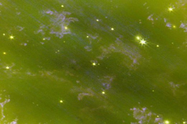 Intip Potret Kematian Indah Nebula Cincin, Terekam oleh Teleskop James Webb