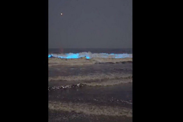 Viral Fenomena Laut Bercahaya di California, bak Film Avatar