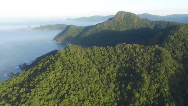 5 Tempat Wisata di Jember yang Wajib Dikunjungi usai JFC