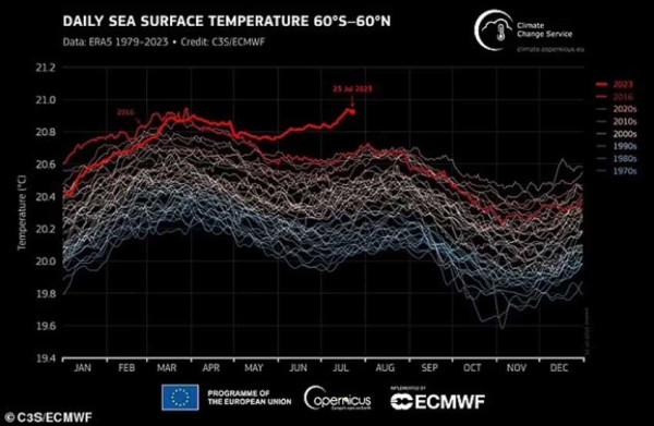 Pecahkan Rekor Terpanas Sepanjang Sejarah, Suhu Lautan Dunia Sentuh 20,96 Derajat Celcius