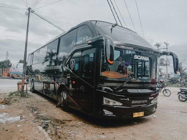 9 PO Bus Populer di Kalimantan, Hadirkan Fasilitas Mewah dan Rute Beragam